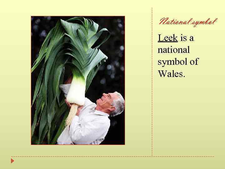 National symbol Leek is a national symbol of Wales. 