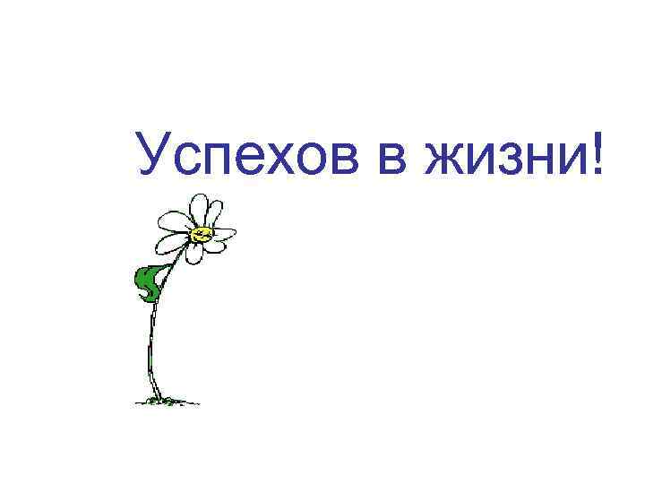 Успехов в жизни! 