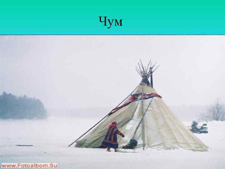 Чум 