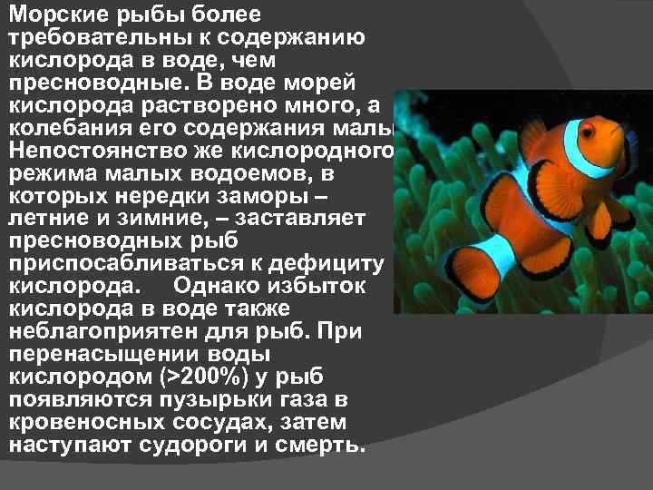 Моча рыб. Поведение рыб. Кислород в морской воде рыбы. Кислорода дефицит у рыб. Содержание кислорода в водной среде.