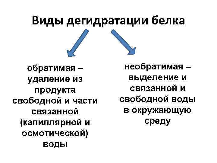 Виды дегидратации белка обратимая – удаление из продукта свободной и части связанной (капиллярной и