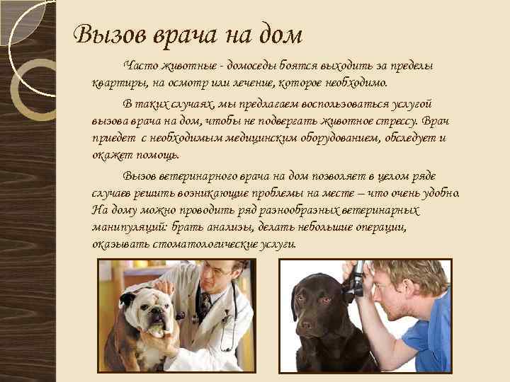 Вызов врача на дом Часто животные - домоседы боятся выходить за пределы квартиры, на