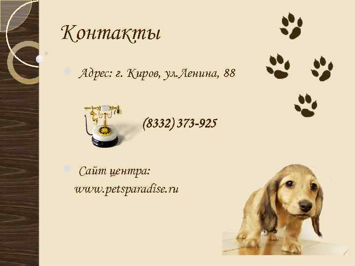 Контакты Адрес: г. Киров, ул. Ленина, 88 (8332) 373 -925 Сайт центра: www. petsparadise.