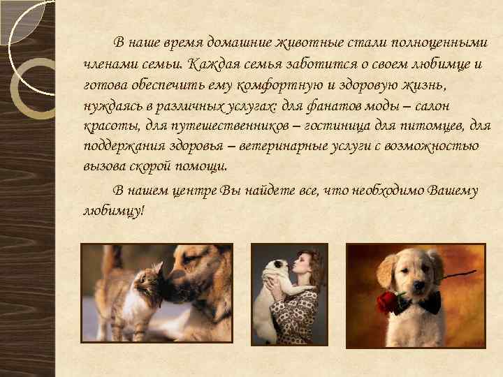 В наше время домашние животные стали полноценными членами семьи. Каждая семья заботится о своем