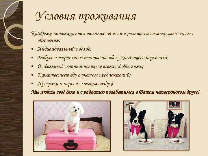 Условия проживания Каждому питомцу, вне зависимости от его размера и темперамента, мы обеспечим: Индивидуальный