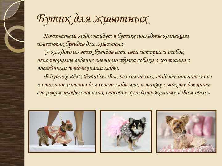 Бутик для животных Почитатели моды найдут в бутике последние коллекции известных брендов для животных.