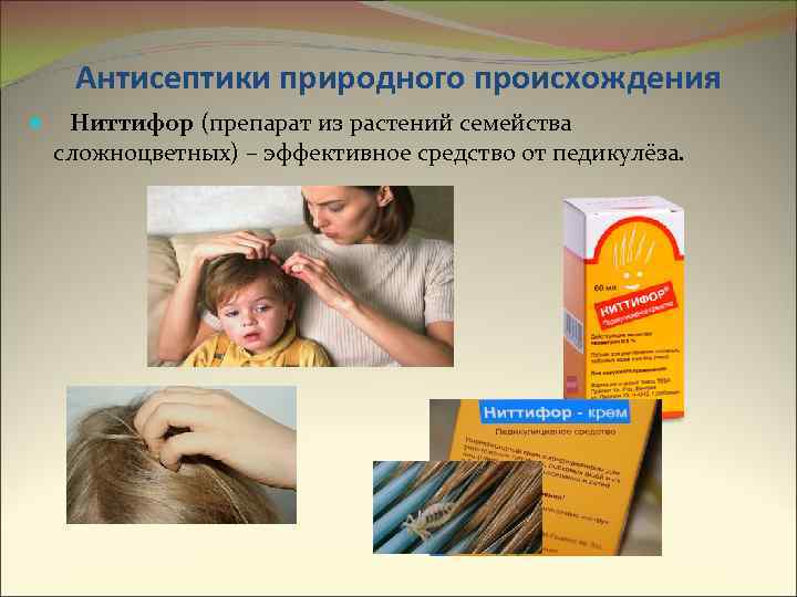Антисептики природного происхождения Ниттифор (препарат из растений семейства сложноцветных) – эффективное средство от педикулёза.