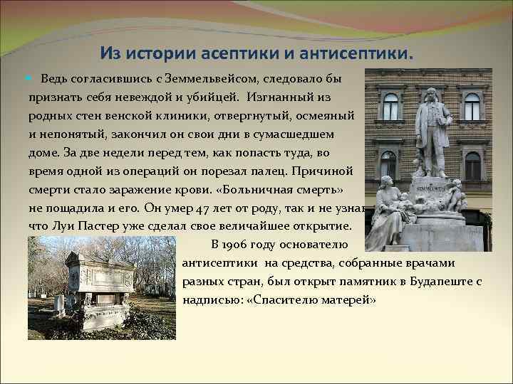 Из истории асептики и антисептики. Ведь согласившись с Земмельвейсом, следовало бы признать себя невеждой