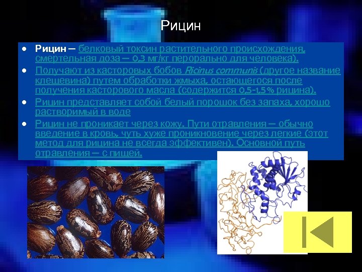 Рицин • Рицин — белковый токсин растительного происхождения, смертельная доза — 0, 3 мг/кг