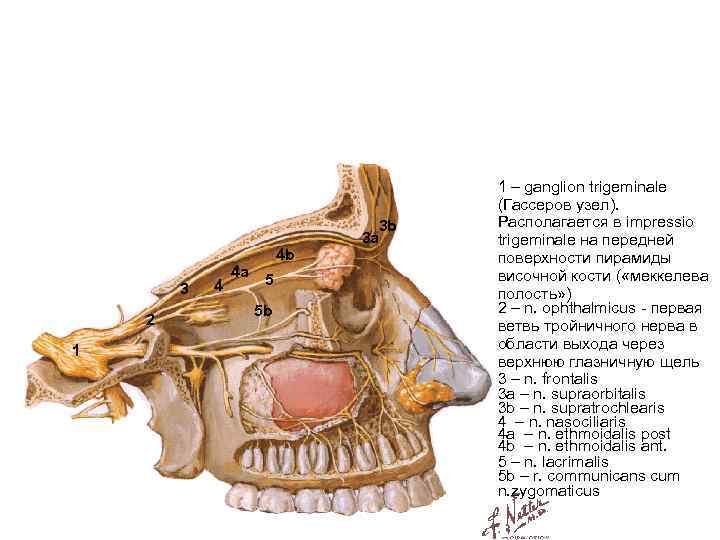 3 2 1 27. 4. 11 4 4 a 4 b 5 5 b