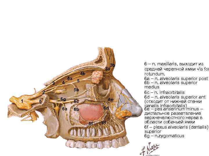 3 4 4 a 6 4 b 5 5 b 2 1 3 b