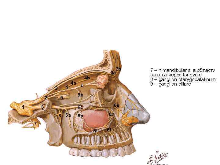 4 3 2 1 4 a 9 6 3 b 3 a 4 b