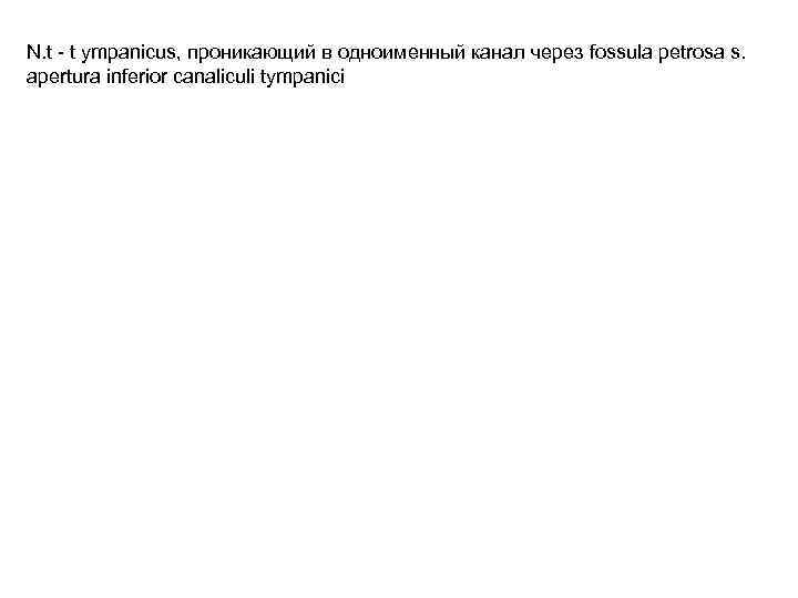 N. t - t ympanicus, проникающий в одноименный канал через fossula petrosa s. apertura