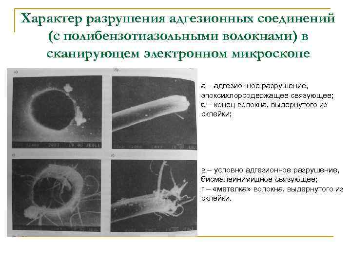 Характер разрушения адгезионных соединений (с полибензотиазольными волокнами) в сканирующем электронном микроскопе а – адгезионное