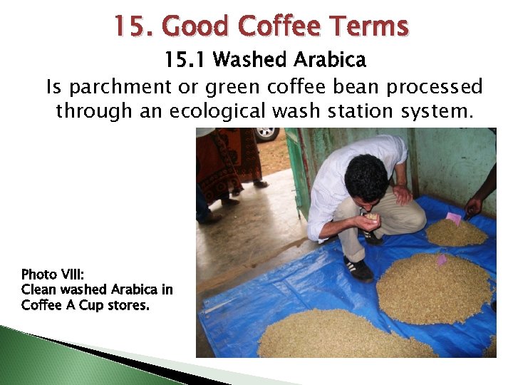 15. Good Coffee Terms 15. 1 Washed Arabica Is parchment or green coffee bean