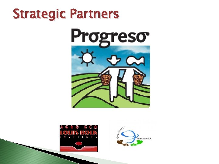 Strategic Partners 