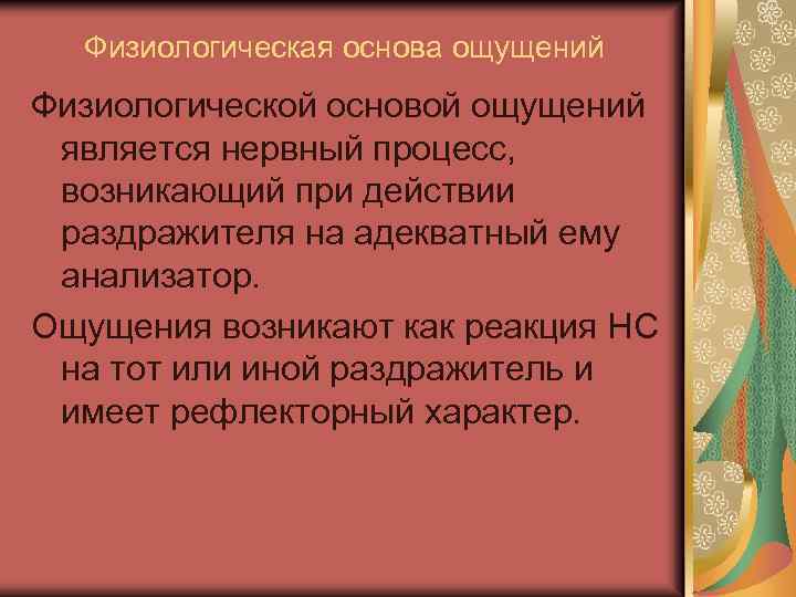 Физиологическая основа ощущений Физиологической основой ощущений является нервный процесс, возникающий при действии раздражителя на