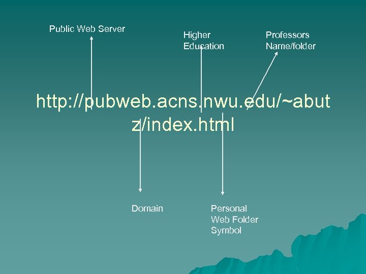 Public Web Server Higher Education Professors Name/folder http: //pubweb. acns. nwu. edu/~abut z/index. html