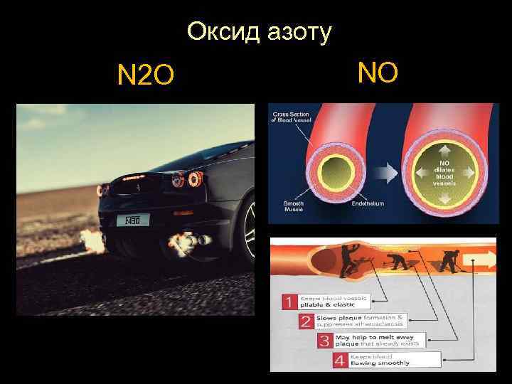 Оксид азоту N 2 O NO 