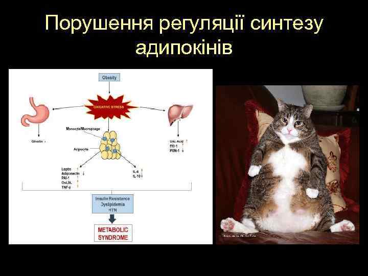 Порушення регуляції синтезу адипокінів 