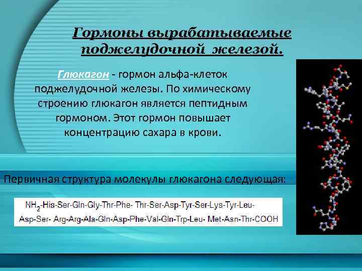 Гормоны вырабатываемые поджелудочной железой. Глюкагон - гормон альфа-клеток поджелудочной железы. По химическому строению глюкагон