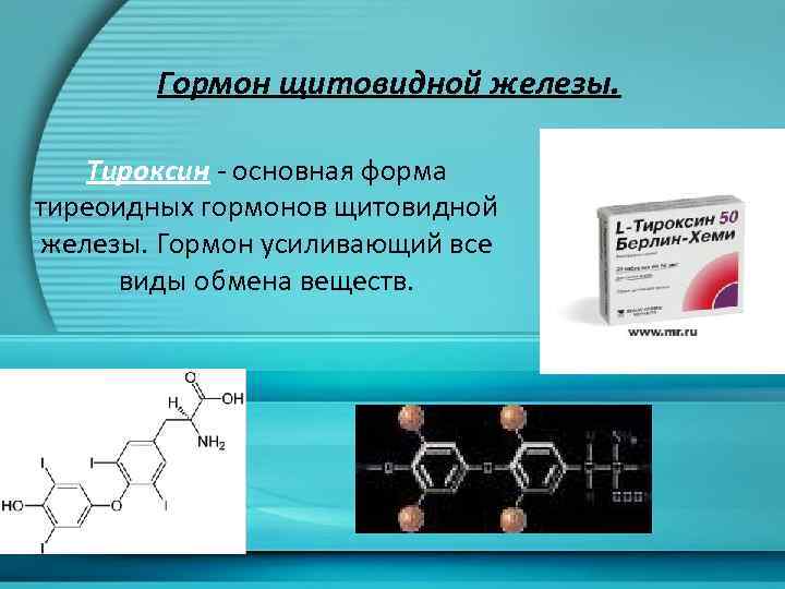 Гормон щитовидной железы. Тироксин - основная форма тиреоидных гормонов щитовидной железы. Гормон усиливающий все