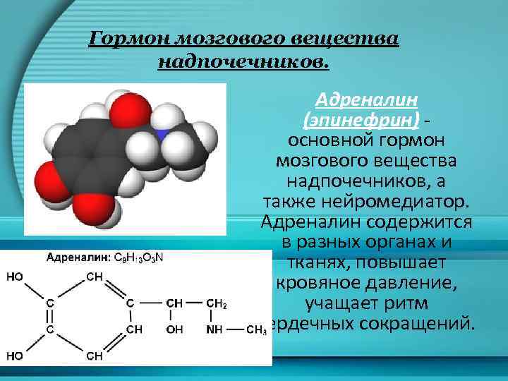 Гормон мозгового вещества надпочечников. Адреналин (эпинефрин) основной гормон мозгового вещества надпочечников, а также нейромедиатор.