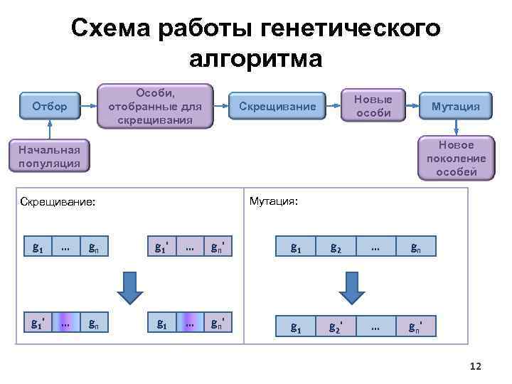 Схема работы генетического алгоритма Особи, отобранные для скрещивания Отбор Новые особи Скрещивание Мутация Новое