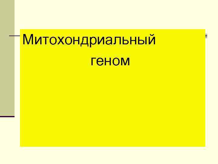 Митохондриальный геном 