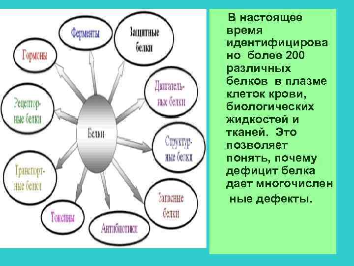В настоящее время идентифицирова но более 200 различных белков в плазме клеток крови, биологических