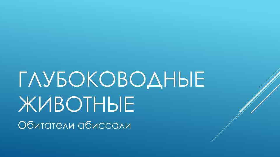 ГЛУБОКОВОДНЫЕ ЖИВОТНЫЕ Обитатели абиссали 