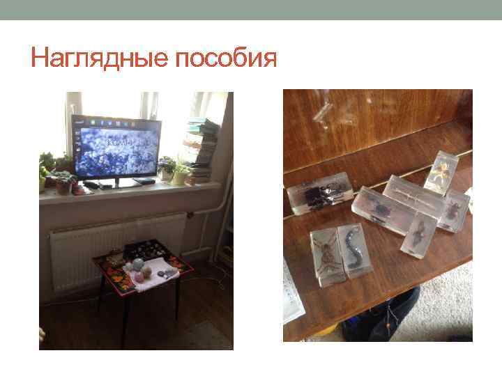 Наглядные пособия 