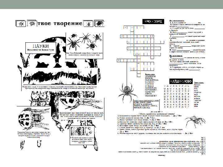 Задания из журнала «Творец» 