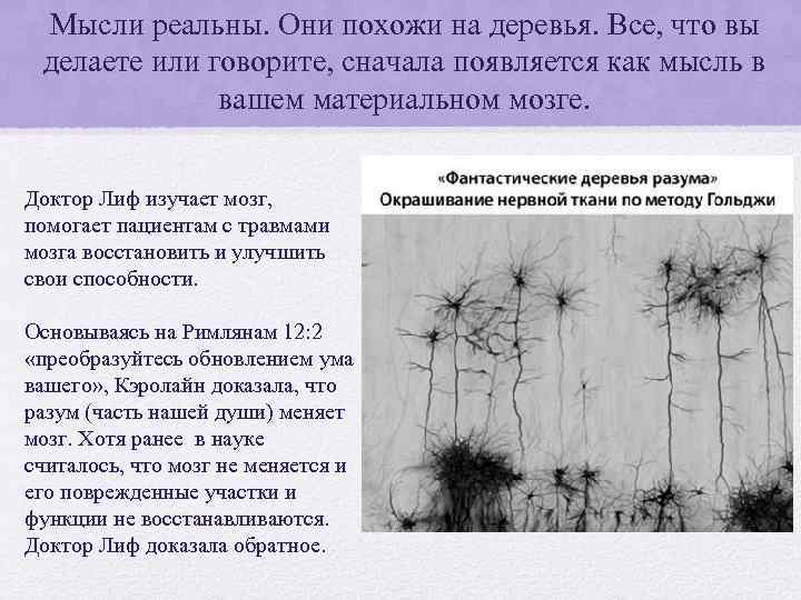 Мысли реальны. Они похожи на деревья. Все, что вы делаете или говорите, сначала появляется