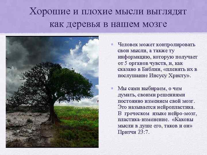 Хорошие и плохие мысли выглядят как деревья в нашем мозге • Человек может контролировать