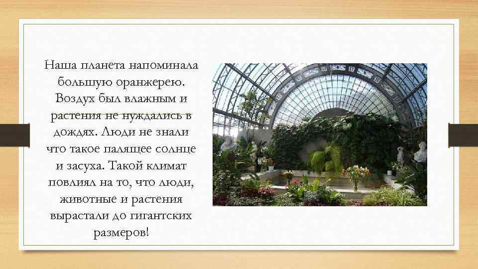 Наша планета напоминала большую оранжерею. Воздух был влажным и растения не нуждались в дождях.