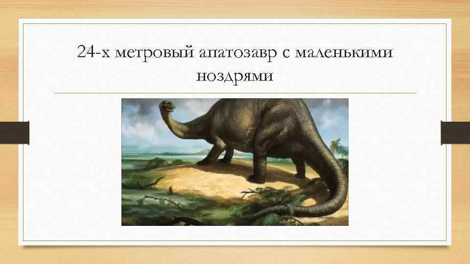 24 -х метровый апатозавр с маленькими ноздрями 