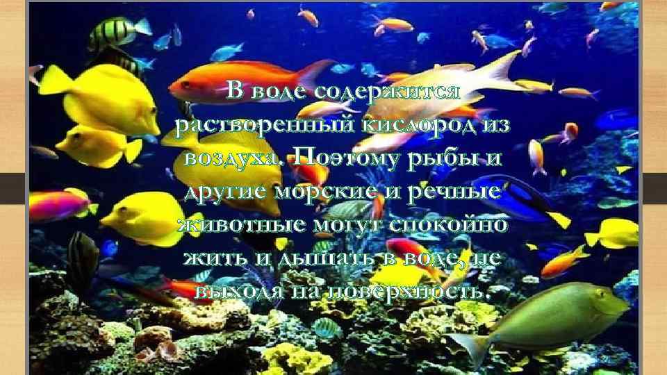 В воде содержится растворенный кислород из воздуха. Поэтому рыбы и другие морские и речные
