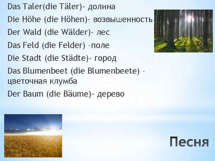 Das Taler(die Täler)- долина Die Höhe (die Höhen)- возвышенность Der Wald (die Wälder)- лес