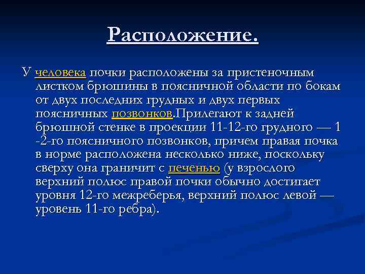 Расположение. У человека почки расположены за пристеночным листком брюшины в поясничной области по бокам