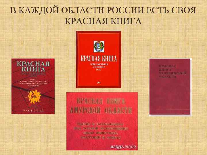 В КАЖДОЙ ОБЛАСТИ РОССИИ ЕСТЬ СВОЯ КРАСНАЯ КНИГА 