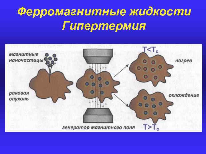 Картины из ферромагнитной жидкости