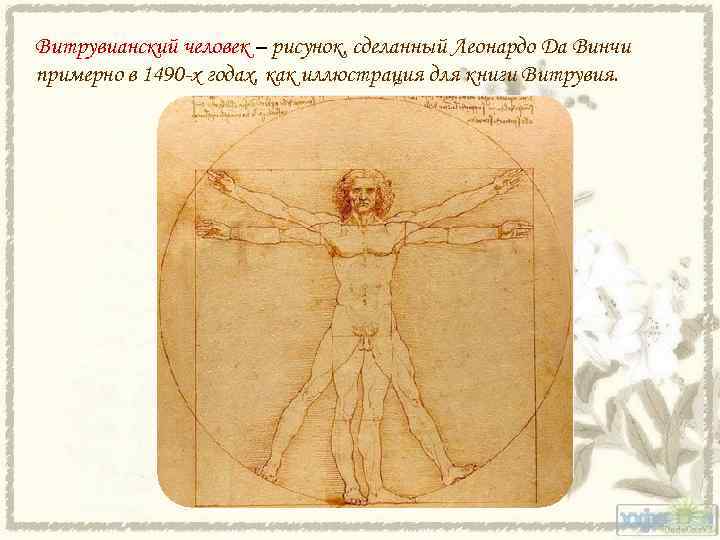 Витрувианский человек – рисунок, сделанный Леонардо Да Винчи примерно в 1490 х годах, как