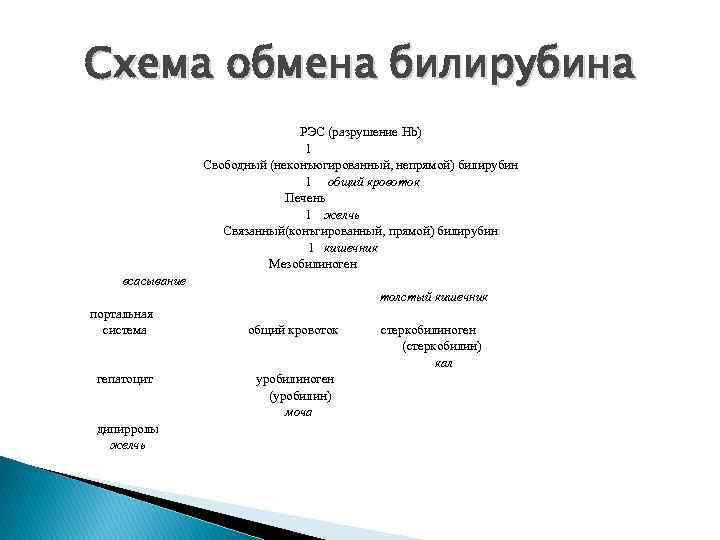 Схема обмена билирубина РЭС (разрушение Hb) 1 Свободный (неконъюгированный, непрямой) билирубин 1 общий кровоток