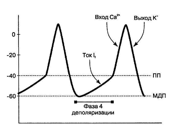 Потенциал действия пейсмекерных