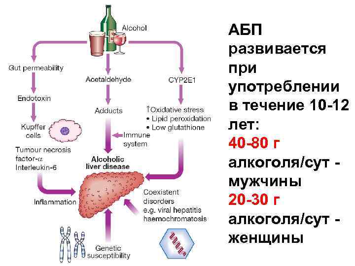 Алкогольная болезнь печени презентация