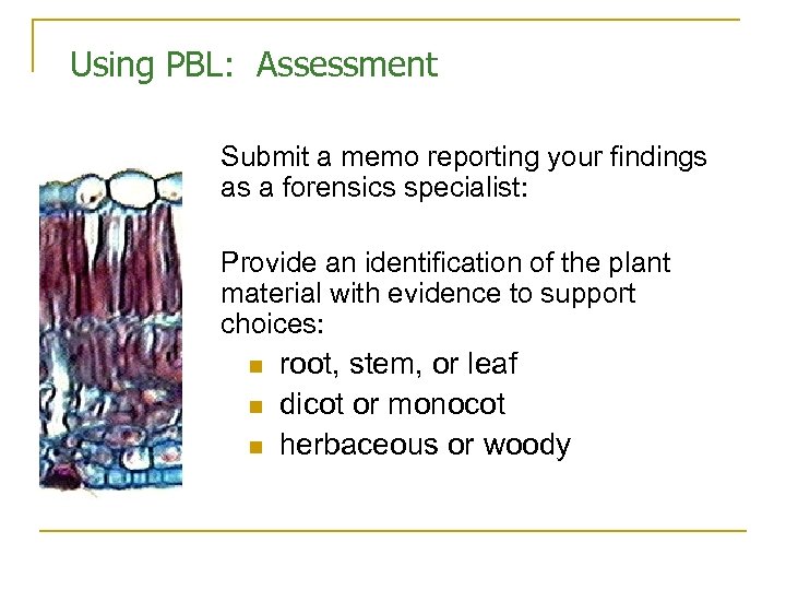 Using PBL: Assessment Submit a memo reporting your findings as a forensics specialist: Provide