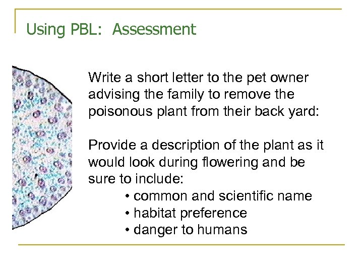 Using PBL: Assessment Write a short letter to the pet owner advising the family
