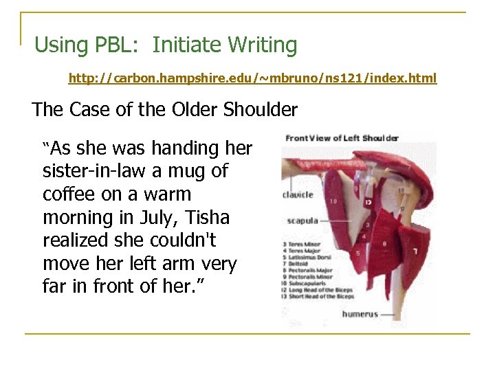 Using PBL: Initiate Writing http: //carbon. hampshire. edu/~mbruno/ns 121/index. html The Case of the