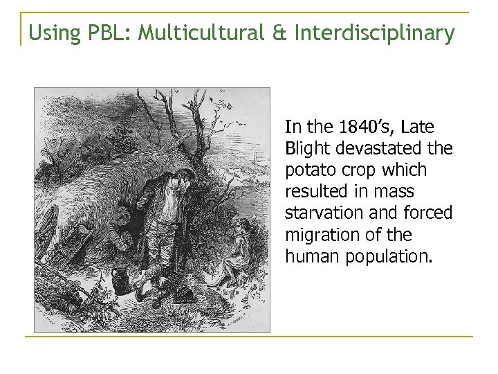Using PBL: Multicultural & Interdisciplinary In the 1840’s, Late Blight devastated the potato crop